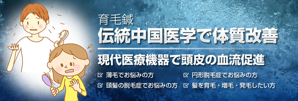 伝統中国医学で体質改善 現代医療機器で頭皮の血流促進