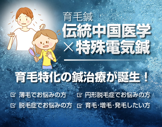 誠真堂鍼灸院｜中医学の専門家 「国際中医師」による伝統鍼灸